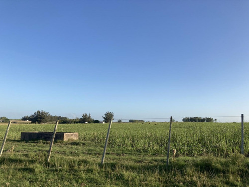 Imagen 7 de 14 de Campo De Casi 12 Hás En Ruta 40