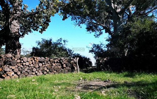 ESTANCIA CARABASSA