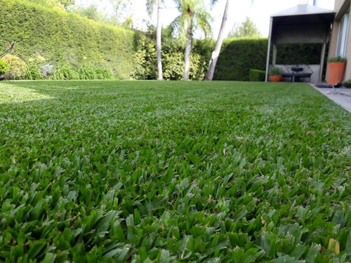 Imagen 2 de 5 de Jardineria Y Paisajismo