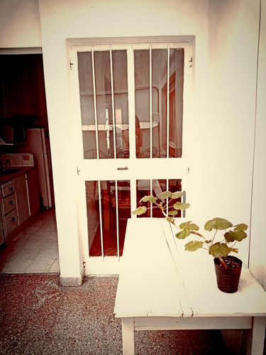 Imperdible Departamento 2 Ambientes Con Patio En El Corazón De Palermo