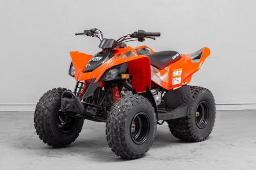 Can Am Ds 90 Nuevo Cuatriciclo Verano Niños