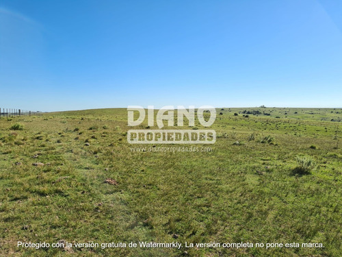 Imagen 2 de 14 de Prioridad Forestal - Buen Campo Ganadero