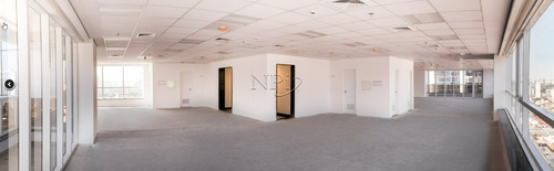 Imagem 5 de 15 de Edificio Roque Petroni 850 Locacao E Venda L Npi Imoveis - L-1618
