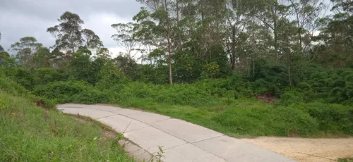 Terreno Sector Alto Fogón