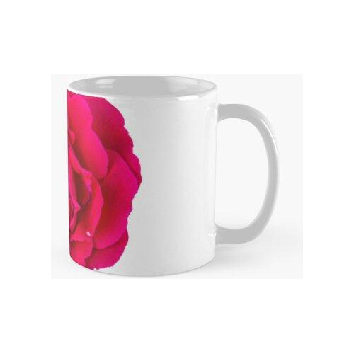 Taza Rosa Roja Rosa Png Calidad Premium