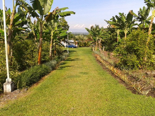 Finca En Pereira - Crucero De Combia (15 Minutos Del Centro)