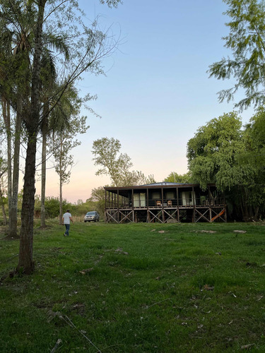 Campo Isla En El Delta Entrerriano Ganadero Forestale