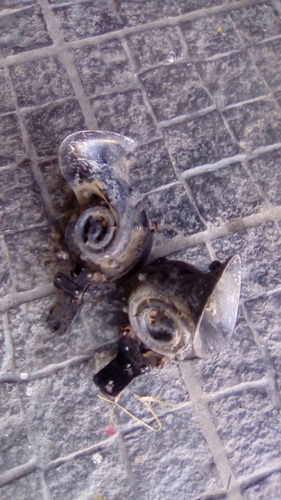 Antiguas Bocinas Caracol Auto De Colección (Usado)