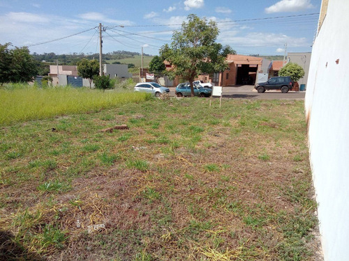 Imagem 6 de 7 de Terreno - Te00253 - 69430787