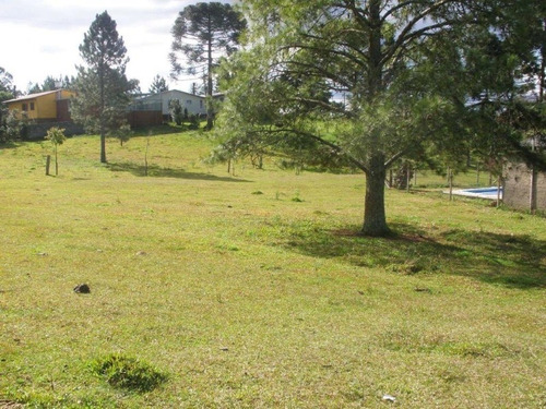 Imagem 5 de 5 de Terreno - Apanhador - Ref: 4810 - V-4810