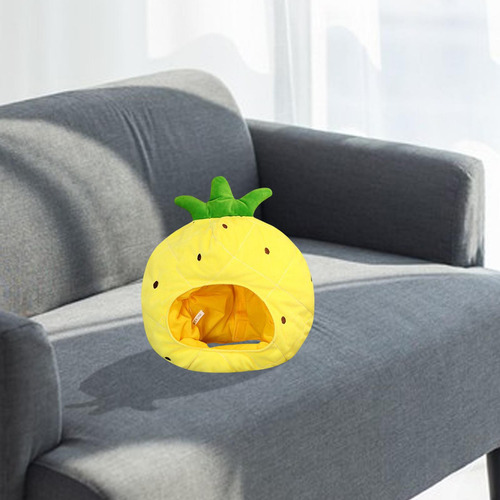 Sombreros De Piña Decoraciones Cálidas De Felpa Dibujos