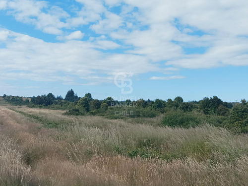 A Orilla De Carretera, Área Turística, Industrial.