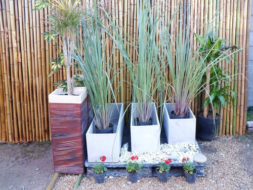 Imagen 5 de 7 de Maceta Fibrocemento Jardinera 100x30x15 Las Mejores - Tigre
