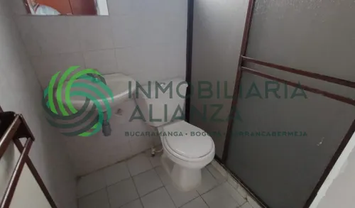 Apartaestudio En Arriendo En Alfonso Lopez. Cod A15403