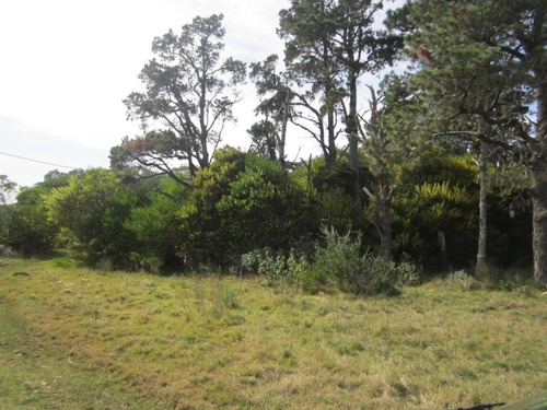 Terrenos En El Caracol - Laguna Garzon