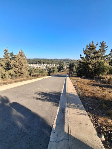 Espectaculares Sitios Planos I Condominio I Los Pinos Reñaca