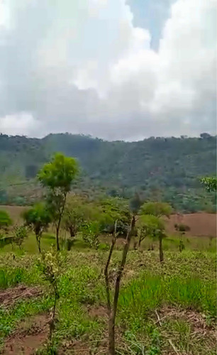 Imagen 3 de 3 de Últimas 10 Mz Finca Las Arrazolas Pueblo Nuevo Viñas/ixpaco