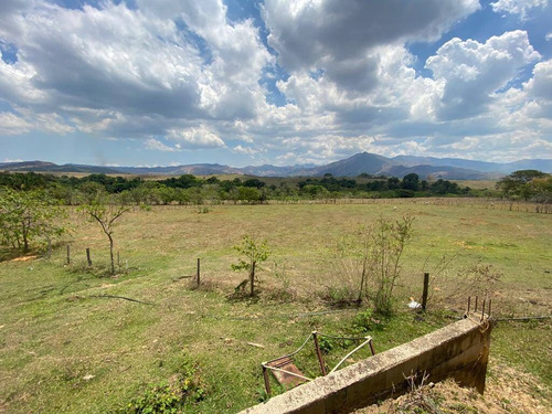 Imagen 13 de 14 de Granja En Venta En Valencia