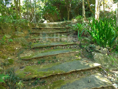 Imagem 6 de 30 de Chácara À Venda Em Canelinha/sc - 1389c