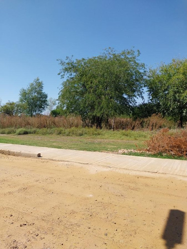 Imagen 5 de 6 de Terreno En Gualeguaychu