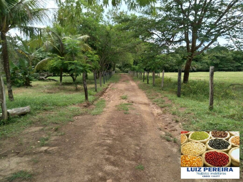 Imagem 13 de 13 de Fazenda À Venda Em Cristalândia - To - 1,302 Hec Planta Soja - 1629
