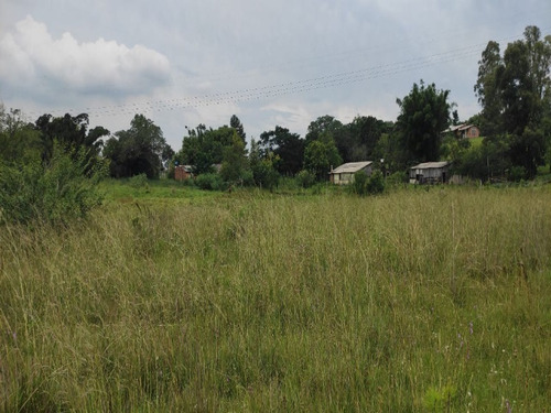 Chácara 20.000 M² - Passo Do Pinto - Gravataí - Rs - 2501 - 69235962