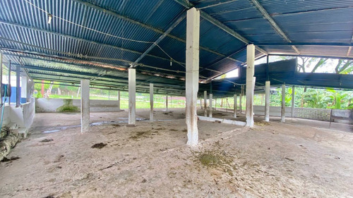 Imagen 7 de 25 de Jd. Se Vende Hermosa Finca En San Antonio De Caparo