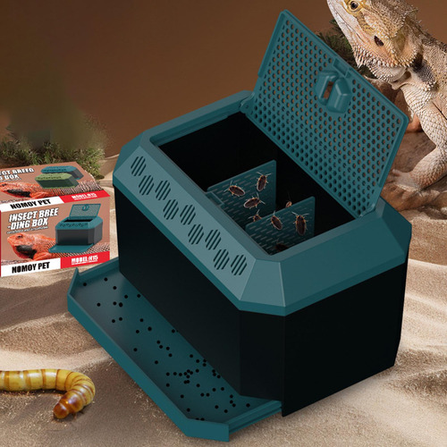 Caja De Reptiles De Reptiles Hábitat De Hábitat Animal