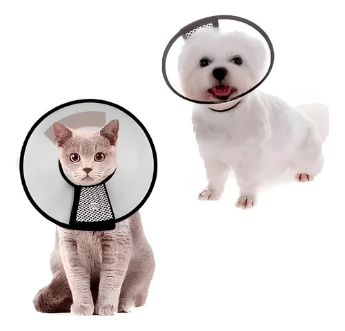 Collar Isabelino Mascota Perro Y Gato 62cm Directo