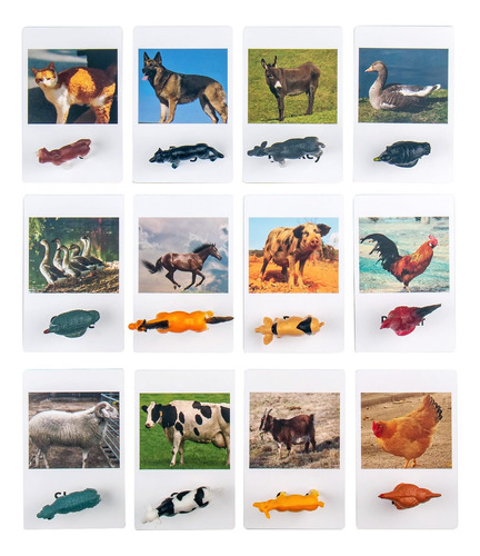 Meroco Montessori Animal Match Cards - Animales De Aves De C