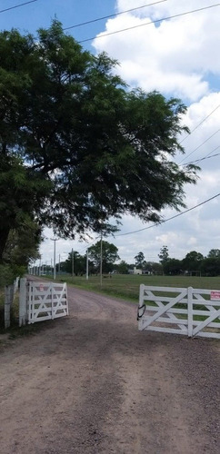 Imagen 14 de 18 de últimos Terrenos En Venta En San Andrés. Colonia Benítez