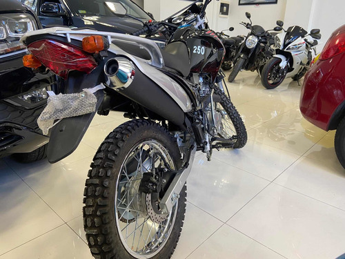 Imagen 2 de 8 de Okinoi R250