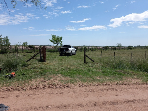 Imagen 22 de 23 de Lote 36000m2 Molino..plantas Pecan Durazno