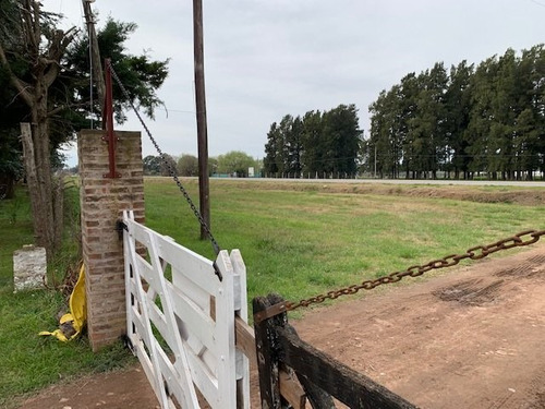 Granja Avícola En San Andrés De Giles (bs. As.)