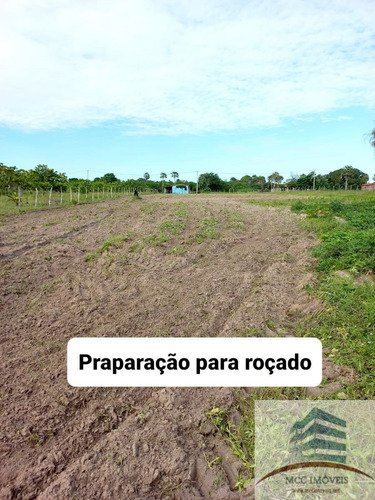Imagem 12 de 18 de Chácara A Venda Lagoa Das Pedras, Povoado Mandú