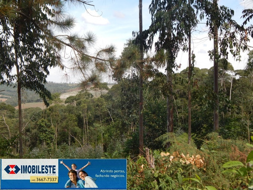 Imagem 8 de 12 de Área Para Venda - 10330.1860