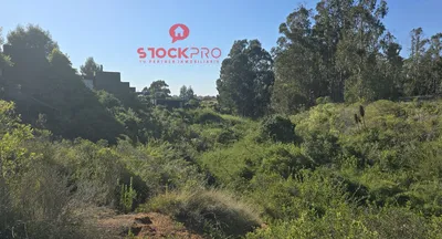 Parcela en venta