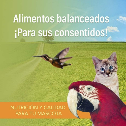 Barrita Palanqueta De Frutas Para Loros Cacatuas 150g Cariño