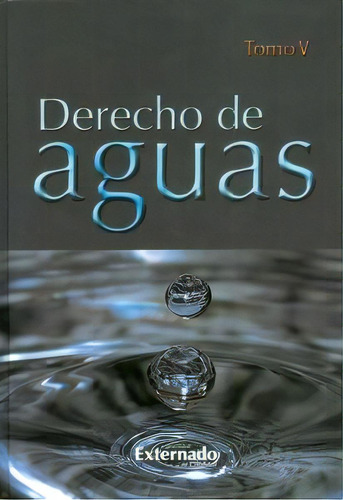 Derecho de aguas. Tomo V, de Varios autores. Serie 9587108828, vol. 1. Editorial U. Externado de Colombia, tapa blanda, edición 2013 en español, 2013