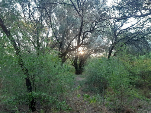 Imagen 19 de 23 de 76 Hectareas En Venta En El Corazon De Conlara, Traslasierras!!