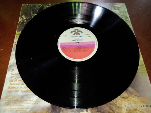 Karina - Desde Mi Sueño (vinilo) Lp, (vg) (Usado)