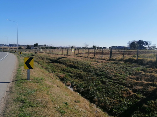 Imagen 12 de 12 de Chacra 1.5 Hectarea En Venta - 75 Metros De Frente A La Ruta 102 Km 38.500