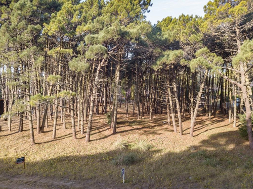 Imagen 2 de 11 de Nuevas Condiciones !! Lote En Venta - Alamos Ii Pinamar