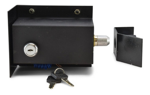 Imagen 1 de 10 de Chapa Eléctrica Seg Para Piso 110volts