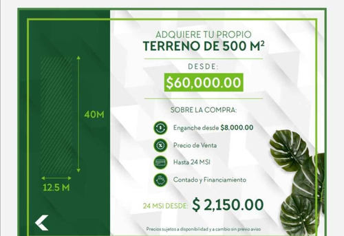 Imagen 4 de 5 de Lotes En Venta En Yucatan Desde 500m2