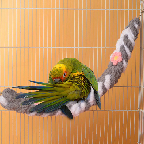 Pájaro De La Cuerda Del Juguete De Juguete De Trepapor Gris