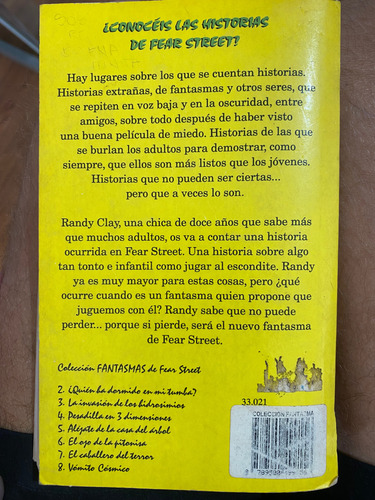 Escóndete Y Grita R L Stine (Usado)