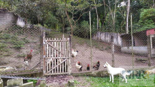 Chácara Para Venda Em Ribeirão Pires, Pilar Velho, 3 Dormitórios, 1 Suíte, 2 Banheiros, 3 Vagas - 231_2-1146434