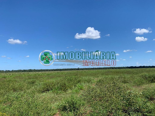 Imagem 9 de 11 de Fazenda Em Santana Do Araguaia - Pa (cód. 214) No Pará A Venda
