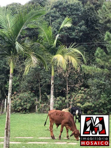 Imagem 6 de 12 de Jarinu, Ótima Localização - 93925 - 4491948